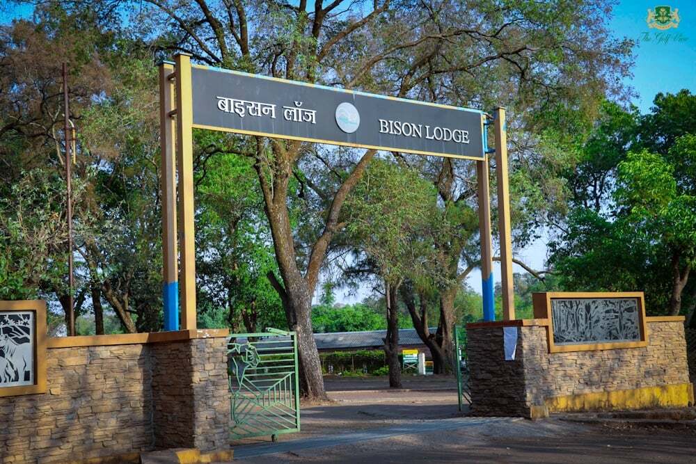 Bison Lodge Museum Attractions In Pachmarhi