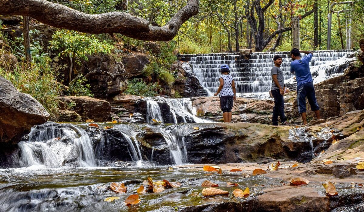 Bee Fall Pachmarhi winter season