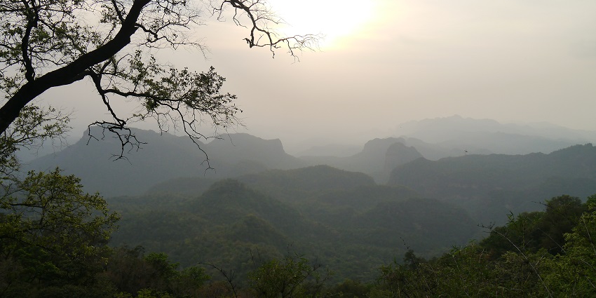 Winter in Pachmarhi foggy mountains