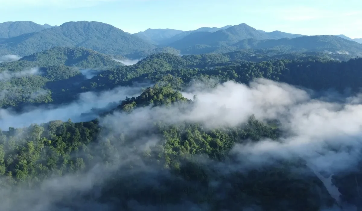Pachmarhi winter fog December morning view